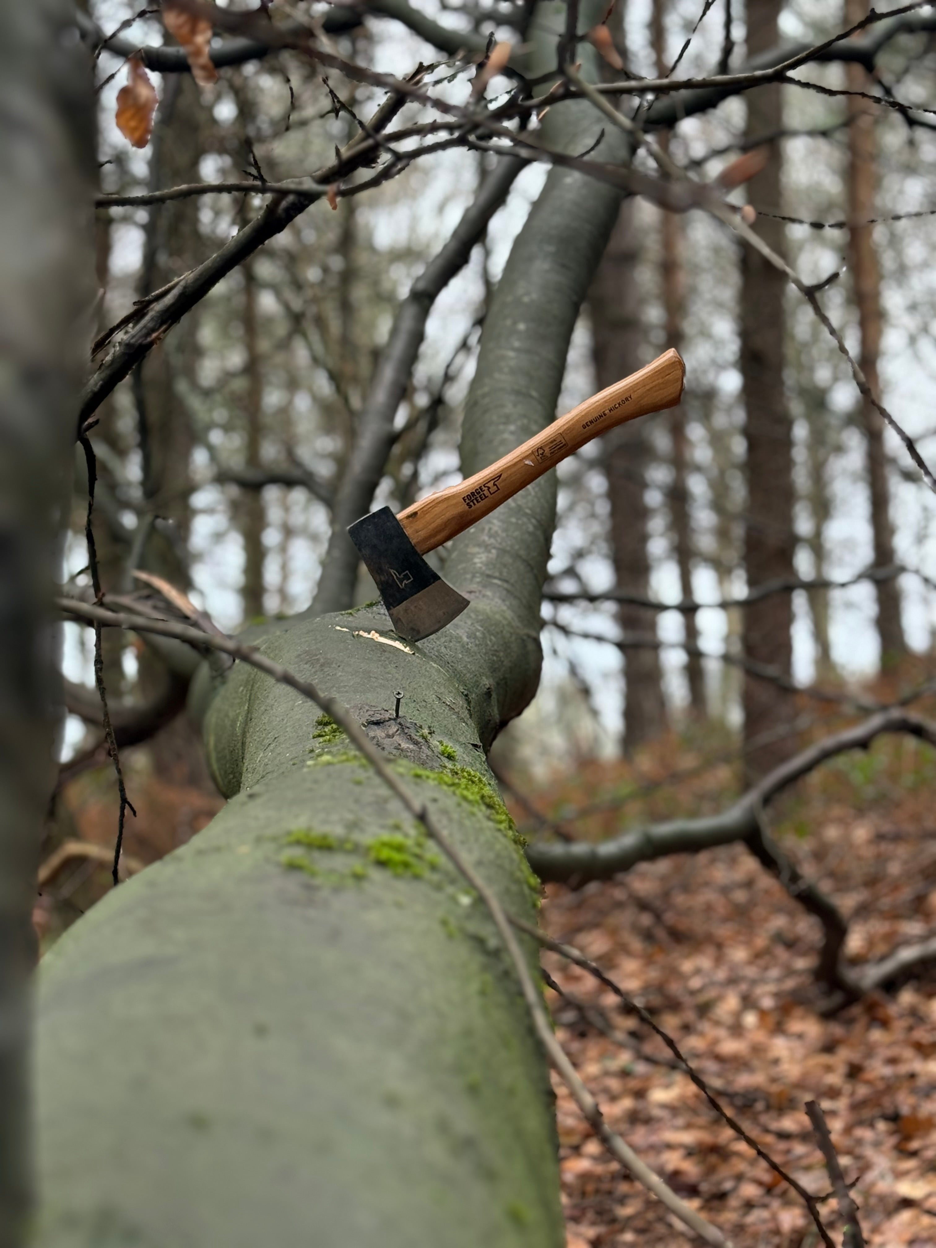 Time to Get Prepared? Here’s Why It Matters