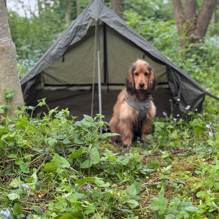 French F1 Commando Tent - G1